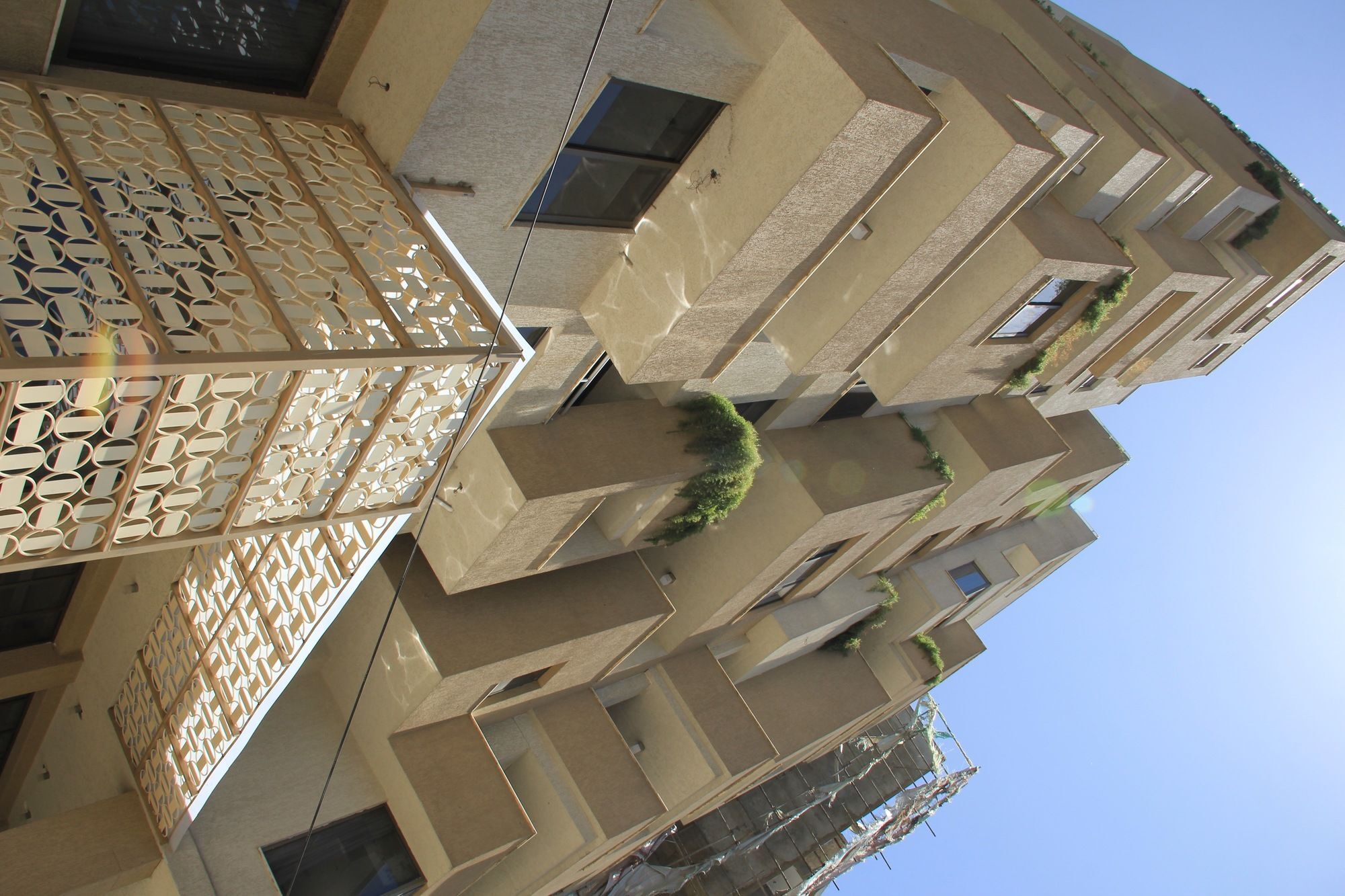 Momona Hotel Addis Ababa Eksteriør billede